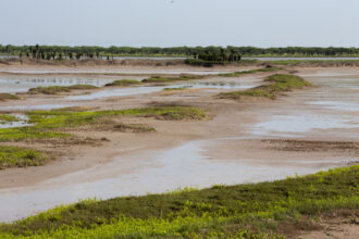 The Boca Chica Wildlife Refuge on the Rio Grande delta, about six miles east of the proposed 750-acre site of the Rio Grande LNG facility. Credit: Dylan Baddour/Inside Climate News