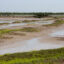 The Boca Chica Wildlife Refuge on the Rio Grande delta, about six miles east of the proposed 750-acre site of the Rio Grande LNG facility. Credit: Dylan Baddour/Inside Climate News