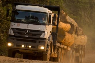 Trucks hauling cut timber in Brazil legally must have license tags visible on the ends of the logs. The driver of this truck, on the Transgarimpeira, near Itaituba, confirmed that his load of hardwoods is illegal and without the required tags. Credit: Larry C. Price