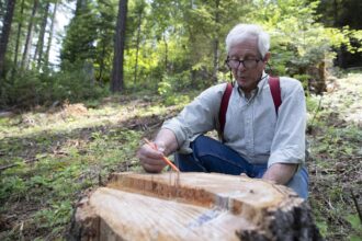 Don Hamann discusses the age and condition of a felled tree in the Butte Falls Community Forest during the regular Community Forest Chat on Saturday, June 10, 2023. Credit: Amanda Loman