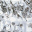 In Mammoth Lakes, California, snow covers roofs next to snowbanks in March piled up from new and past storms in the Sierra Nevada mountains, in the wake of an atmospheric river event. Credit: Mario Tama/Getty Images.