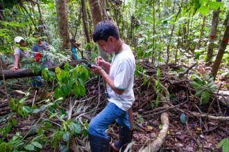 Paiter-Surui volunteers alongside "forest engineers" from a Brazillian Government support program using GPS equipment to map and measure the trees and vegetation in the "7th September Indian Reserve" in Rondônia, Brazil. This information is intended to later be used to calculate the forest carbon content as part of REDD+, which stands for "Reducing Emissions from Deforestation and Degradation" and is enshrined in the 2015 Paris Climate Agreement. The "Forest Carbon Project" was initiated by the Patier-Surui in 2009 and was the first indigenous-led conservation project financed through the sale of carbon offsets. Credit: Craig Stennett/Getty Images.