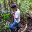 Paiter-Surui volunteers alongside "forest engineers" from a Brazillian Government support program using GPS equipment to map and measure the trees and vegetation in the "7th September Indian Reserve" in Rondônia, Brazil. This information is intended to later be used to calculate the forest carbon content as part of REDD+, which stands for "Reducing Emissions from Deforestation and Degradation" and is enshrined in the 2015 Paris Climate Agreement. The "Forest Carbon Project" was initiated by the Patier-Surui in 2009 and was the first indigenous-led conservation project financed through the sale of carbon offsets. Credit: Craig Stennett/Getty Images.