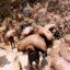 Artisanal miners carry sacks of ore at the Shabara artisanal mine near Kolwezi on October 12, 2022. Credit: Junior Kannah/AFP via Getty Images