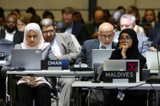 Participants at the opening session of the United Nations Framework Convention on Climate Change's conference in Bonn, Germany, on June 5. The conference, which runs through June 15, is laying the groundwork for the upcoming COP28 climate conference in Dubai in December. Credit: Andreas Rentz/Getty Images.