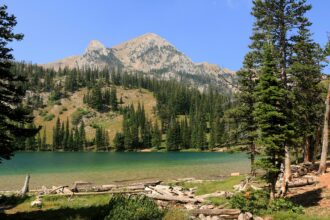 Custer Gallatin National Forest includes hundreds of glaciers as well as pine savannas. The Forest Service plans logging about 90 miles south of Fairy Lake in the Bridger Mountains, pictured. Credit: Don and Melinda Crawford/UCG/Universal Images Group via Getty Images