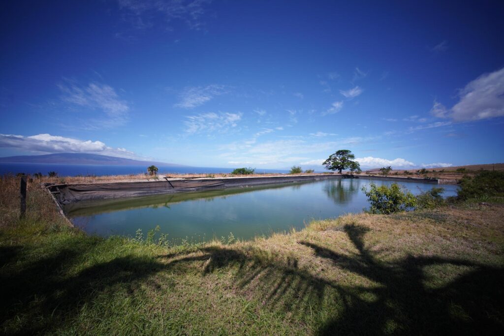 A reservoir owned by one of Peter Martin’s water utilities in the hills outside Lāhainā. The reservoir delivers water to a subdivision built by another of Martin’s companies. Credit: Cory Lum/Grist