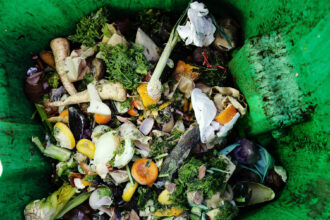 Food scraps in a GrowNYC collection bin await pick up by the DSNY. Credit: Jake Bolster