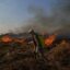 A conservationist with the NGO Panthera fights a fire in Porto Jofre, the Pantanal of Mato Grosso state, Brazil, on September 4, 2021. The Amazon, home to more than three million species, has long absorbed large amounts of carbon dioxide emissions, but some research has shown it recently emitting more CO2 than it absorbs due to wildfires, deforestation and declining forest health. Credit: Carl De Souza/AFP via Getty Images