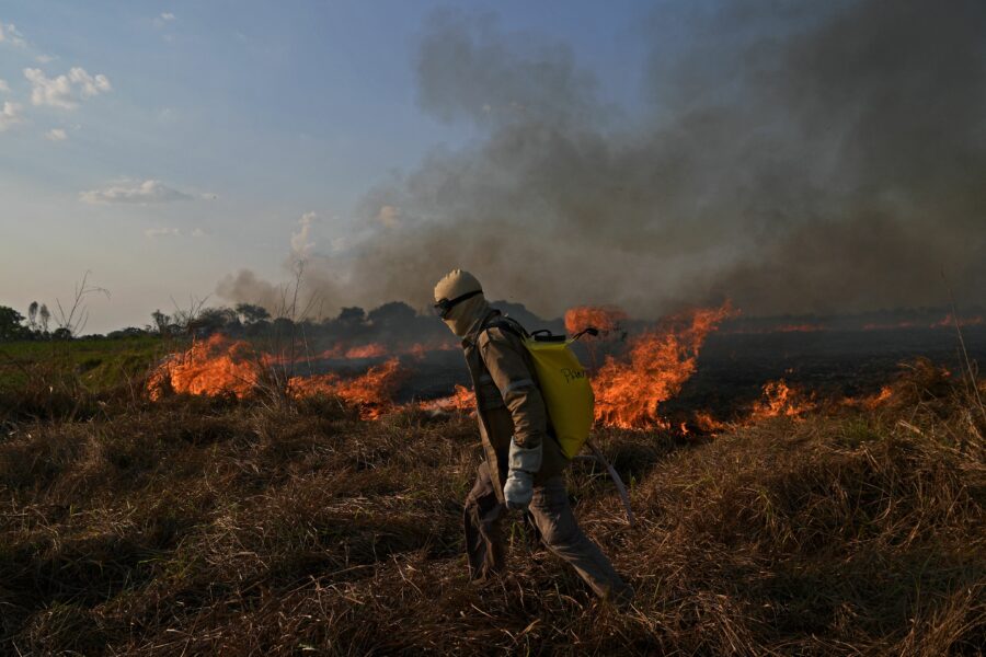 A conservationist with the NGO Panthera fights a fire in Porto Jofre, the Pantanal of Mato Grosso state, Brazil, on September 4, 2021. The Amazon, home to more than three million species, has long absorbed large amounts of carbon dioxide emissions, but some research has shown it recently emitting more CO2 than it absorbs due to wildfires, deforestation and declining forest health. Credit: Carl De Souza/AFP via Getty Images