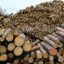 Tree trunks in Bavaria stored for further processing in a sawmill, taken during an excursion along the value chain of a wood pellet.