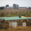 Natural gas pipelines on the edge of a cornfield Oct. 6, 2017 in Lebanon, Pennsylvania. Credit: Robert Nickelsberg/Getty Images