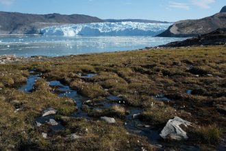 Water from the Greenland ice sheet flows through heather and peat during unseasonably warm weather on Aug. 1, 2019. Credit: Sean Gallup/Getty Images