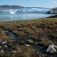 Water from the Greenland ice sheet flows through heather and peat during unseasonably warm weather on Aug. 1, 2019. Credit: Sean Gallup/Getty Images