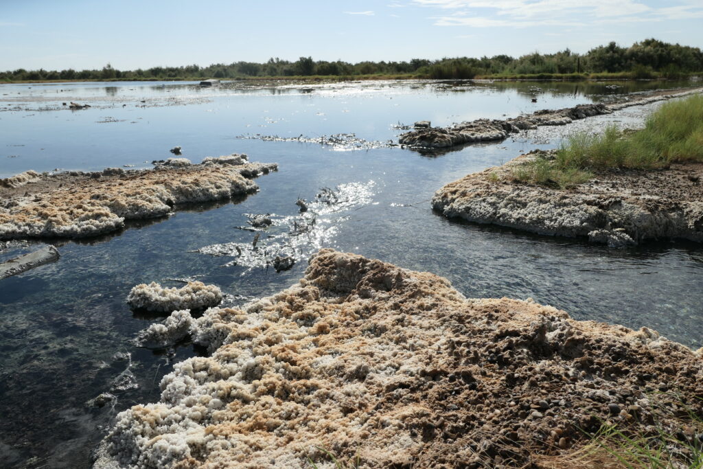 Produced water has bubbled up to the surface from an abandoned well near Imperial, Texas for years. Known as Lake Boehmer, the site is encrusted with salt crystals and high levels of hydrogen sulfide. Credit: Martha Pskowski/Inside Climate News