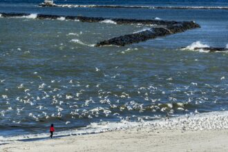 Girl scares seagulls to flight on Lake Erie in Ohio. Credit: John Greim/Loop Images/Universal Images Group via Getty Images