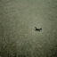 The shadow of a bush plane falls on the landscape of the National Petroleum Reserve in Alaska. The reserve includes the proposed Willow project. Credit: Andrew Lichtenstein/Corbis via Getty Images