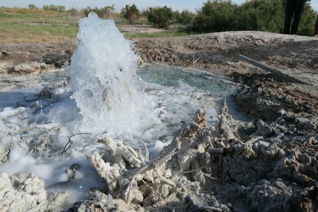 Produced water bubbles up to the surface from an abandoned well near Imperial, Texas. Produced water spills and discharges have taken a toll on lands across Texas. Credit: Martha Pskowski/Inside Climate News