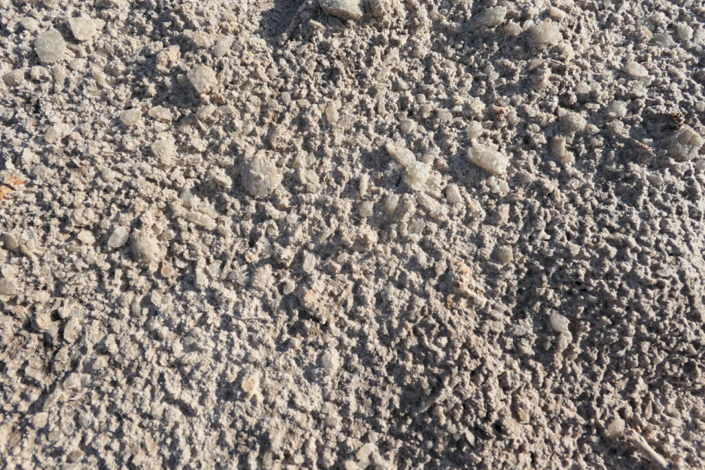 Salt crystals from produced water that spewed across a ranch in Crane County. The salt and chlorides can take years to break down and have lasting impacts of soil health. Credit: Martha Pskowski/Inside Climate News