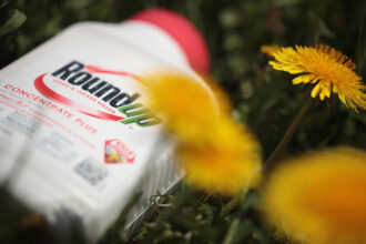 Roundup, the world's top weedkiller: Credit: Photo Illustration by Scott Olson/Getty Images.