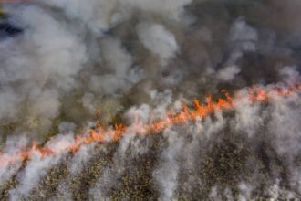 A sugar cane field burning near Canal Point, Florida. Credit: Photo Courtesy of Friends of The Everglades