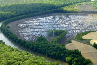 Little remains but stumps and puddles in what was once a bottomland hardwood forest on the banks of the Roanoke River in northeastern North Carolina. Credit: Joby Warrick/The Washington Post via Getty Images