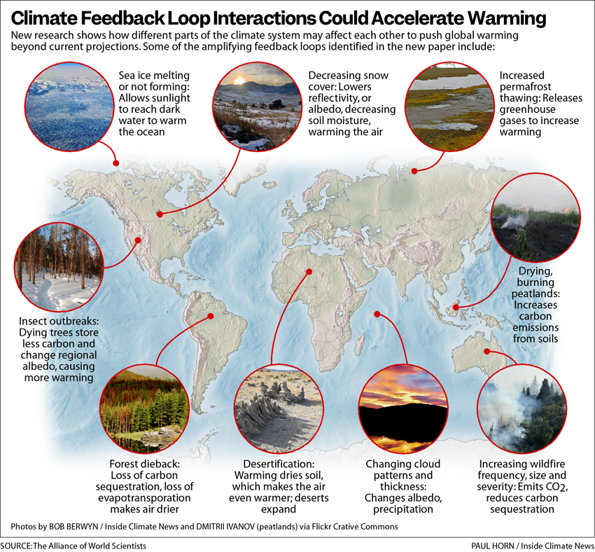 Climate Feedback Loops